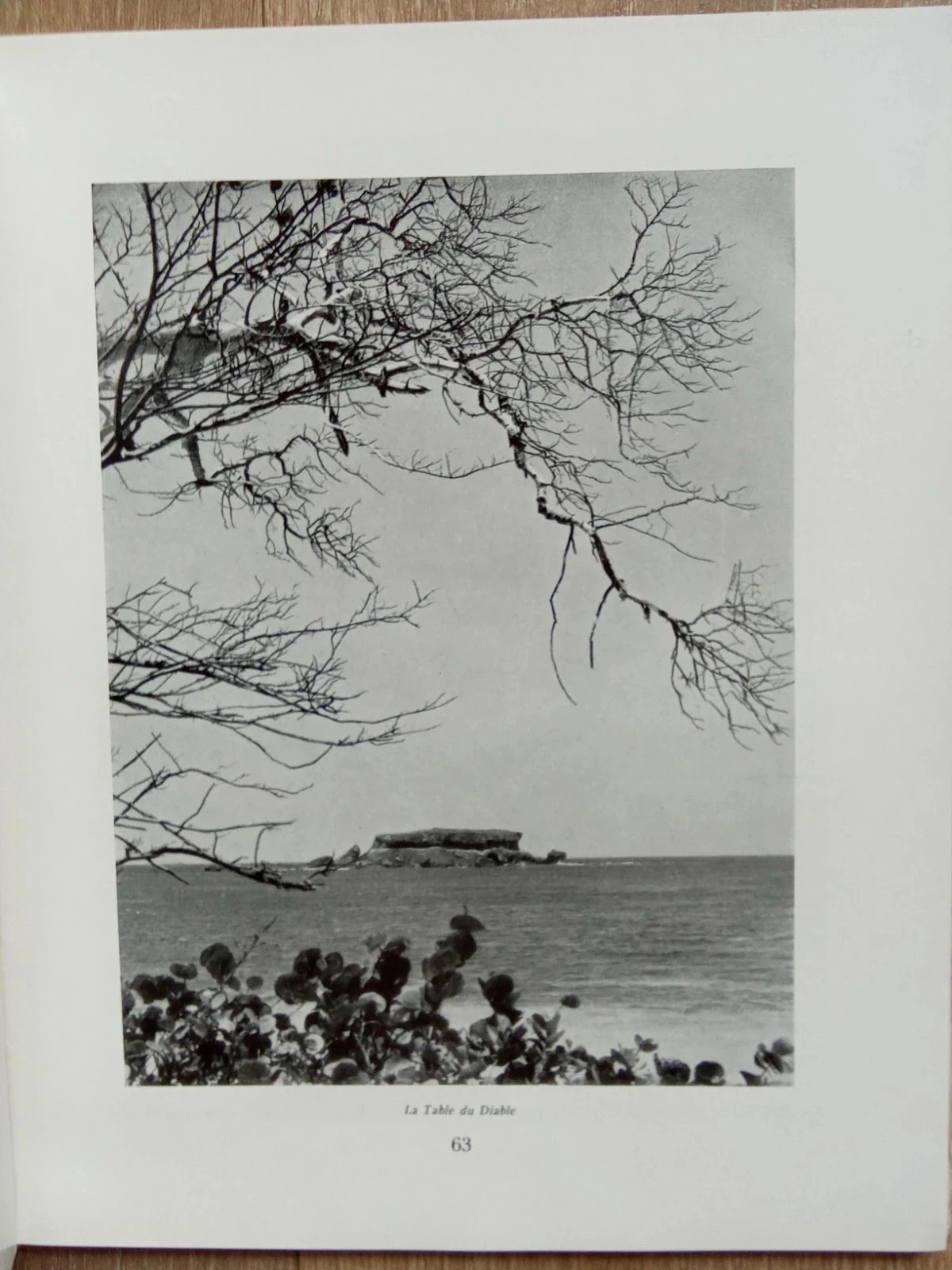 La Martinique, par Félix Rose-Rosette – photo 3